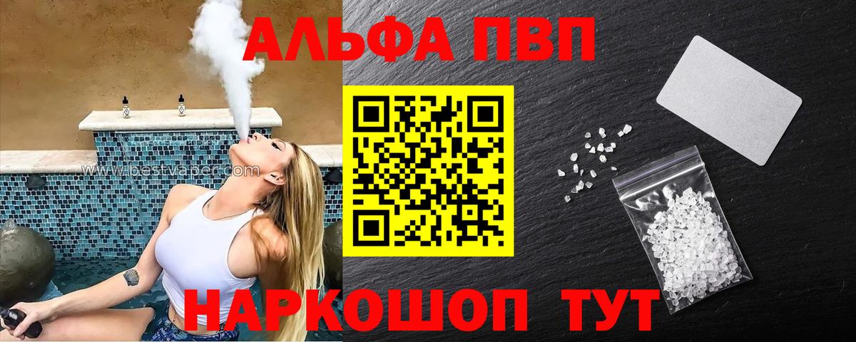 Alfa_PVP СК Балтийск