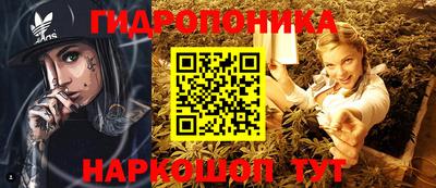 шишки Комсомольск-на-Амуре