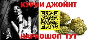 твердый Кингисепп